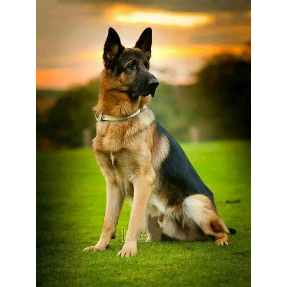 Animal German Shepherd DIY Cross Stitch 11CT Embroidery Kits Needlework Craft Set Cotton Thread Printed Canvas Home Wholesale | Дом и сад