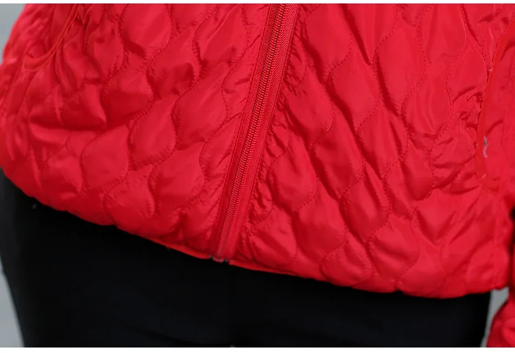 Autumn And Winter New Style Korean-style Short Slim Fit Cotton-padded Clothes Women's Berber Fleece Cotton Coat Students Ho
