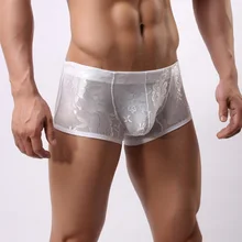 

Men’s Underwear Pants Transparent Lace Sexy Low Waist Breathable Boxer Briefs