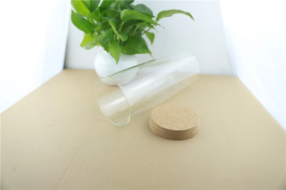 100-250mm 2pcs 1.7L Cork Kitchen Storage Large Glass Bottle Food Jar Container Transparent Empty Spice Nuts Storage Jars (9)