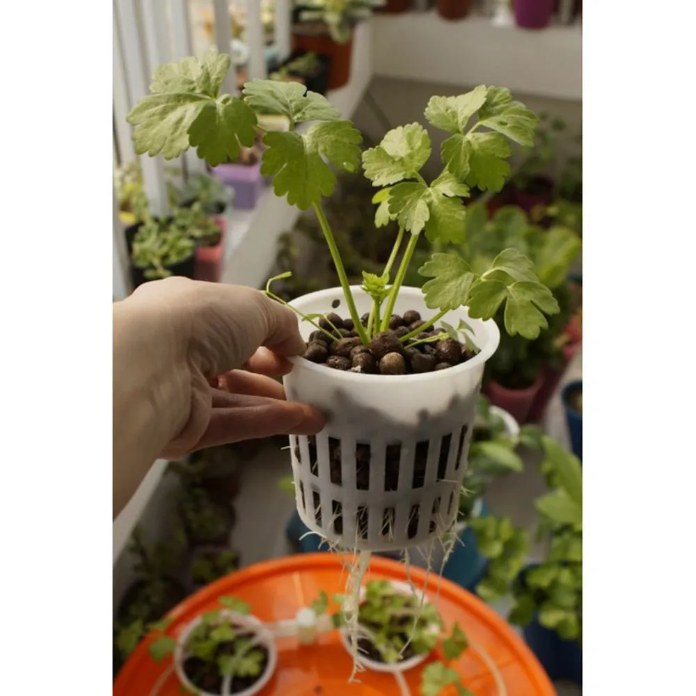 

Heavy Duty Hydroponic Mesh Pot Net Cup Basket Hydroponic Aeroponic Vegetable Plant Soilless Cultivation Basket