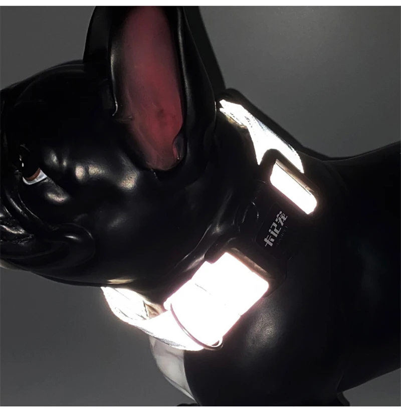 Personalized Collar (3)