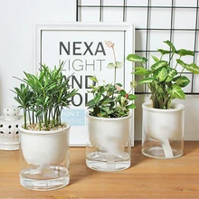 

2PCS Clear Self Watering Pot Planter For Indoor And Outdoor Plants Flowers Herbs Automatic Water Absorbing Plant Flowerpot