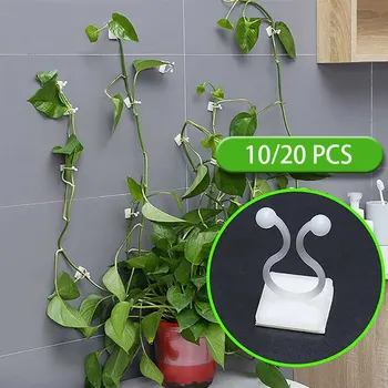 

10/20pcs Invisible Plant Climbing Wall Clip Wall Vines Fixture Wall Sticky Hook Wall Rattan Clamp Rattan Fixed Clip Plant Stent