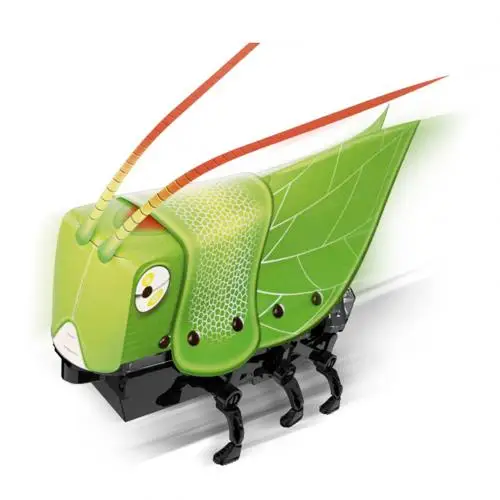 Cricket DIY Electric Walking Mantis Insect Sound Light Assembly Model Education Kids Toy - Цвет: Cricket