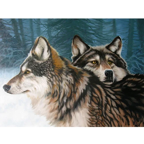 Фотографии изображения пронумерованы абстракция волк DIY картина маслом на холсте украшение дома стены искусства 40X50 см - Цвет: RA3194