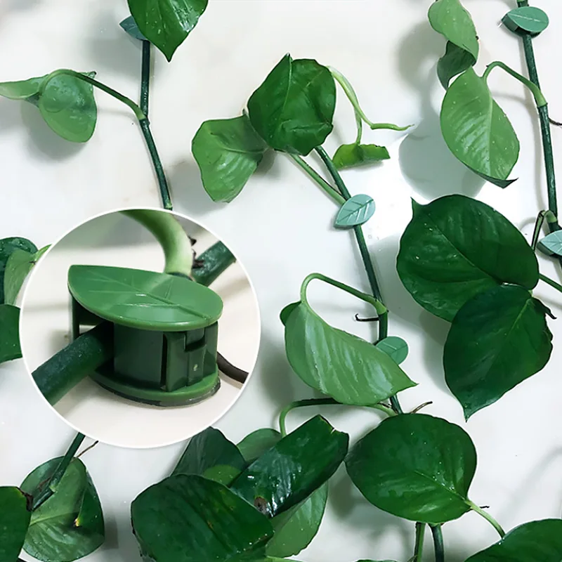 Plant Clips 10pcs Leaves Wall Vine Flower Vegetables Plant Holder