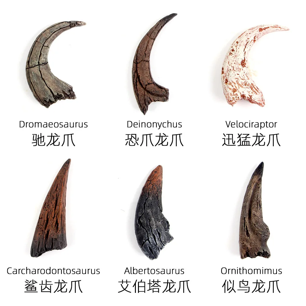 Детская игрушка ручной работы DIY Overlord Dragon Claw Fossil Mining Toys 9 блоков хорошие товары