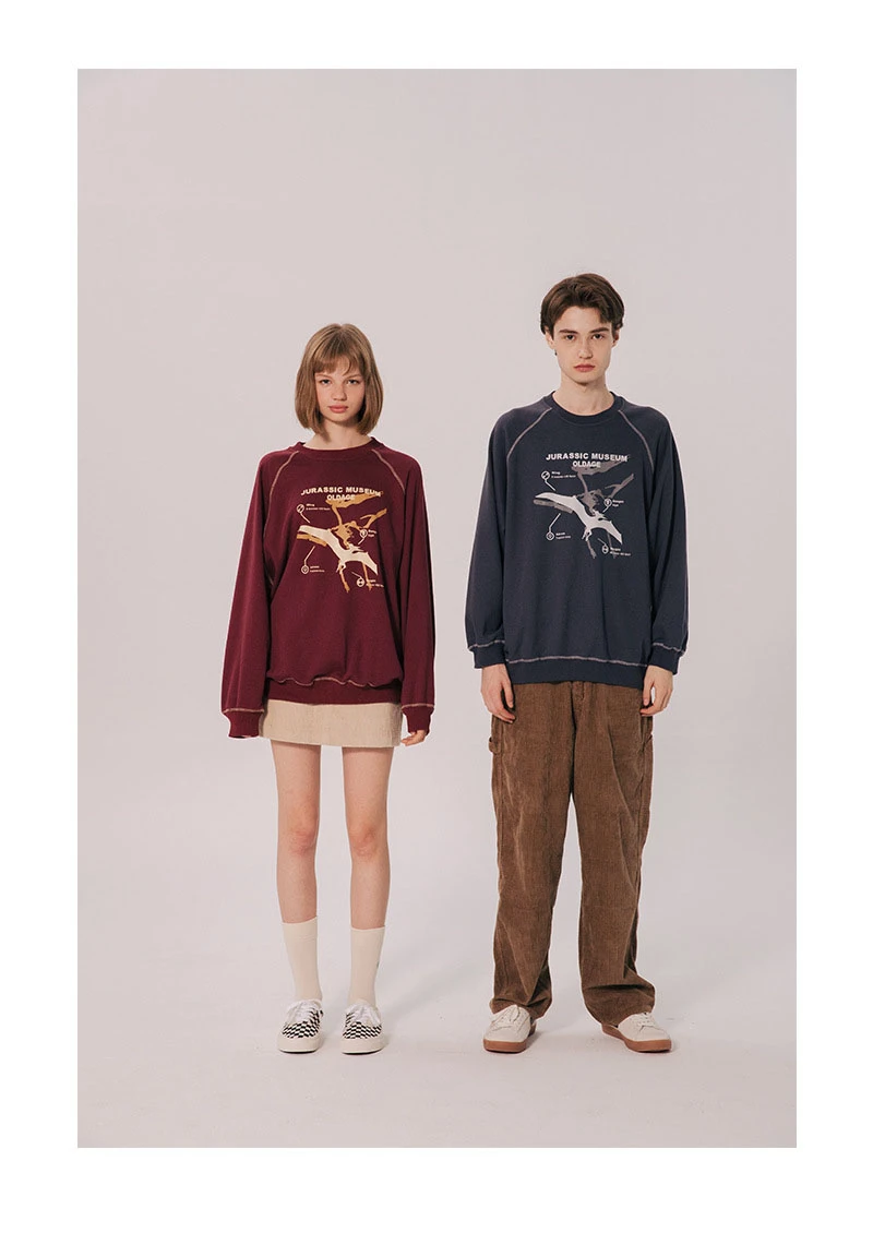 Японский Harajuku Jurassic Графический Печатный Crewneck свитер для мужчин и женщин рукав реглан Уличная пуловер Толстовка