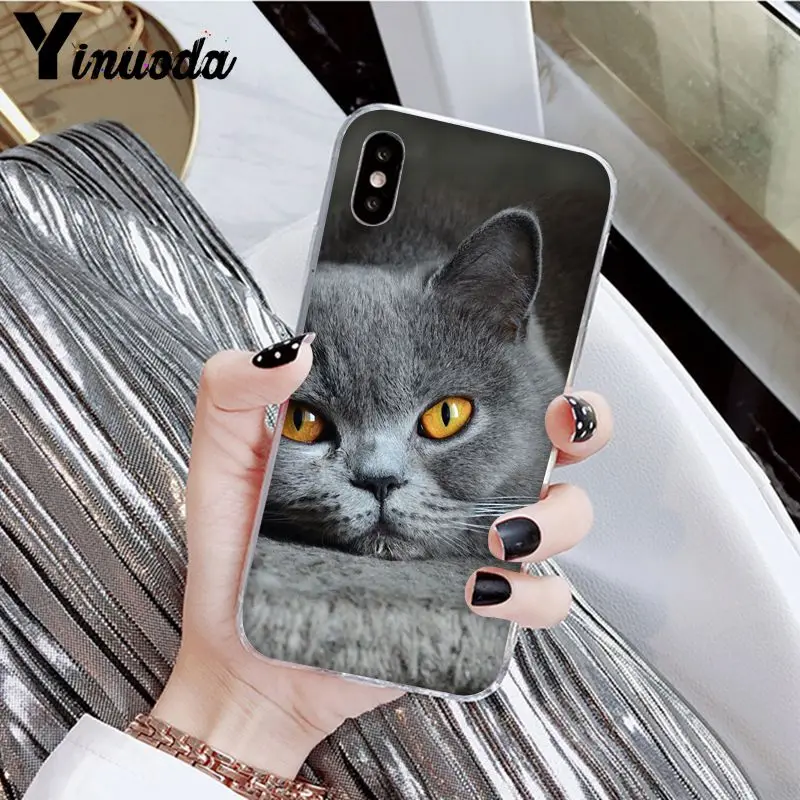 Yinuoda British Shorthair cat Novelty Fundas Phone Case Cover for Apple iPhone 8 7 6 6S Plus X XS MAX 5 5S SE XR Cover - Цвет: A5