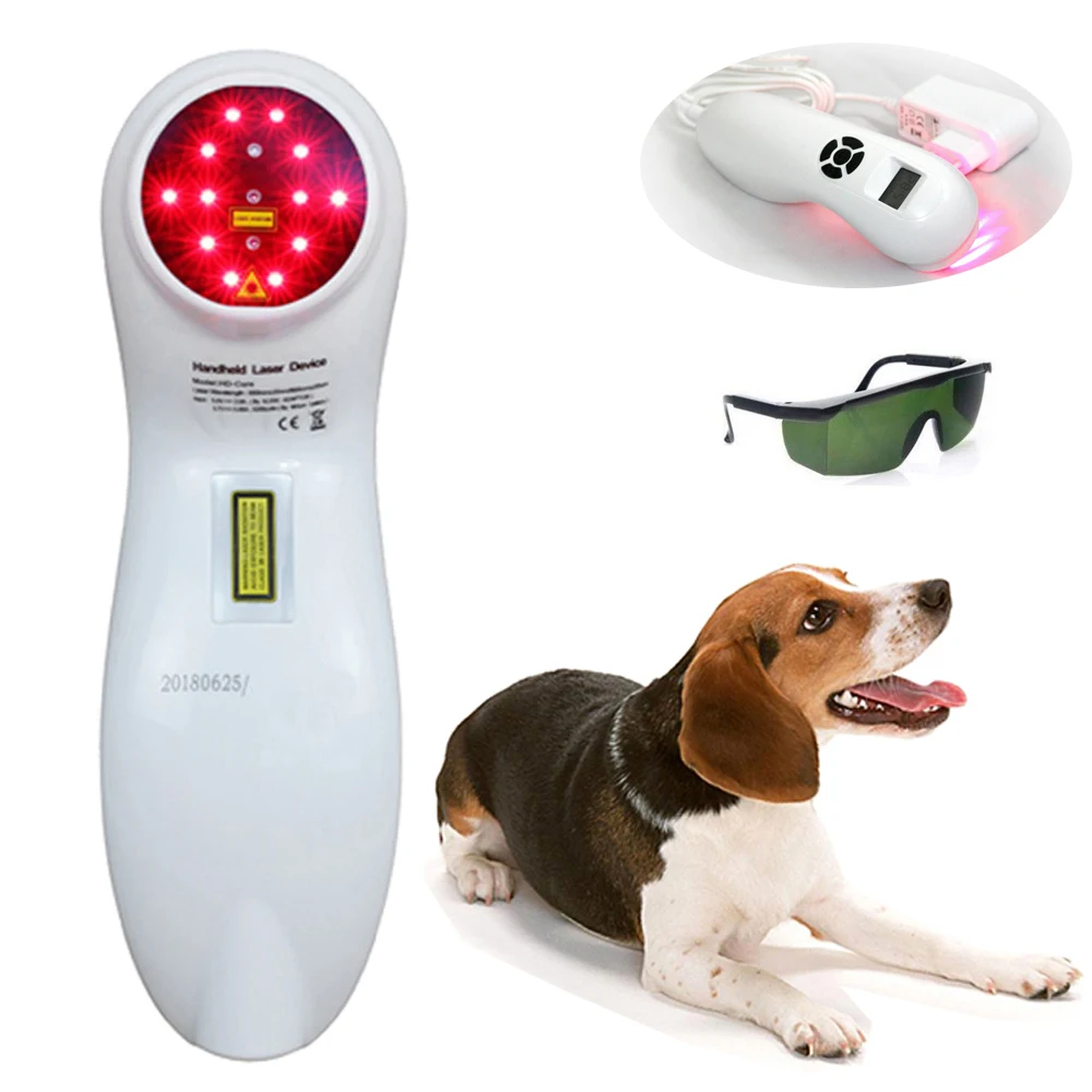 

Handheld Portable Rechargeable Animals Pain Relieve Dogs Horses Cats Pets Veterinary Use Low Level Cold Laser Therapy Device CE