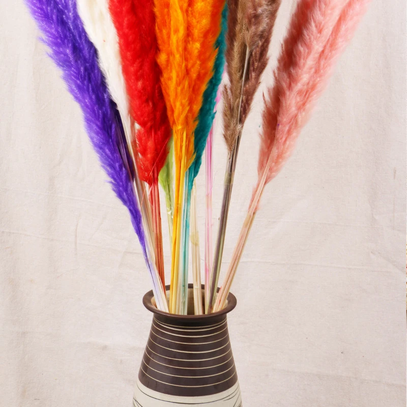 30pcs Small Pampas Grass Bulrush Natural Dried Phragmites Christmas Home Decor Diy Dried Real Flowers Bouquet Flower Arrangement