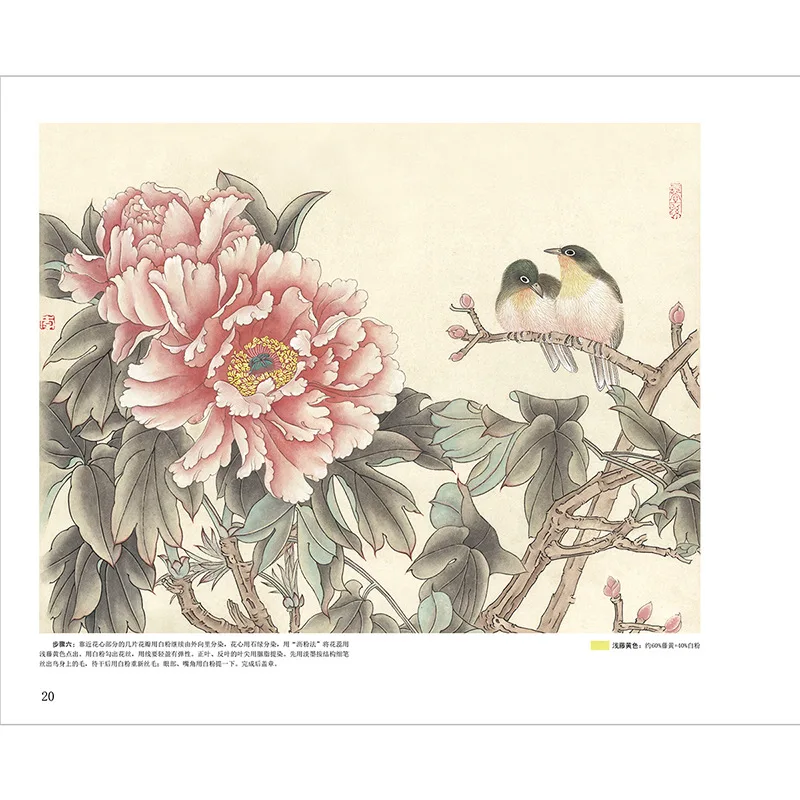 Genuine Fine Brushwork Peony Profession Art Supplies Company Sketchpad Fine Art Sketch Adult Book Genuine Wholesale
