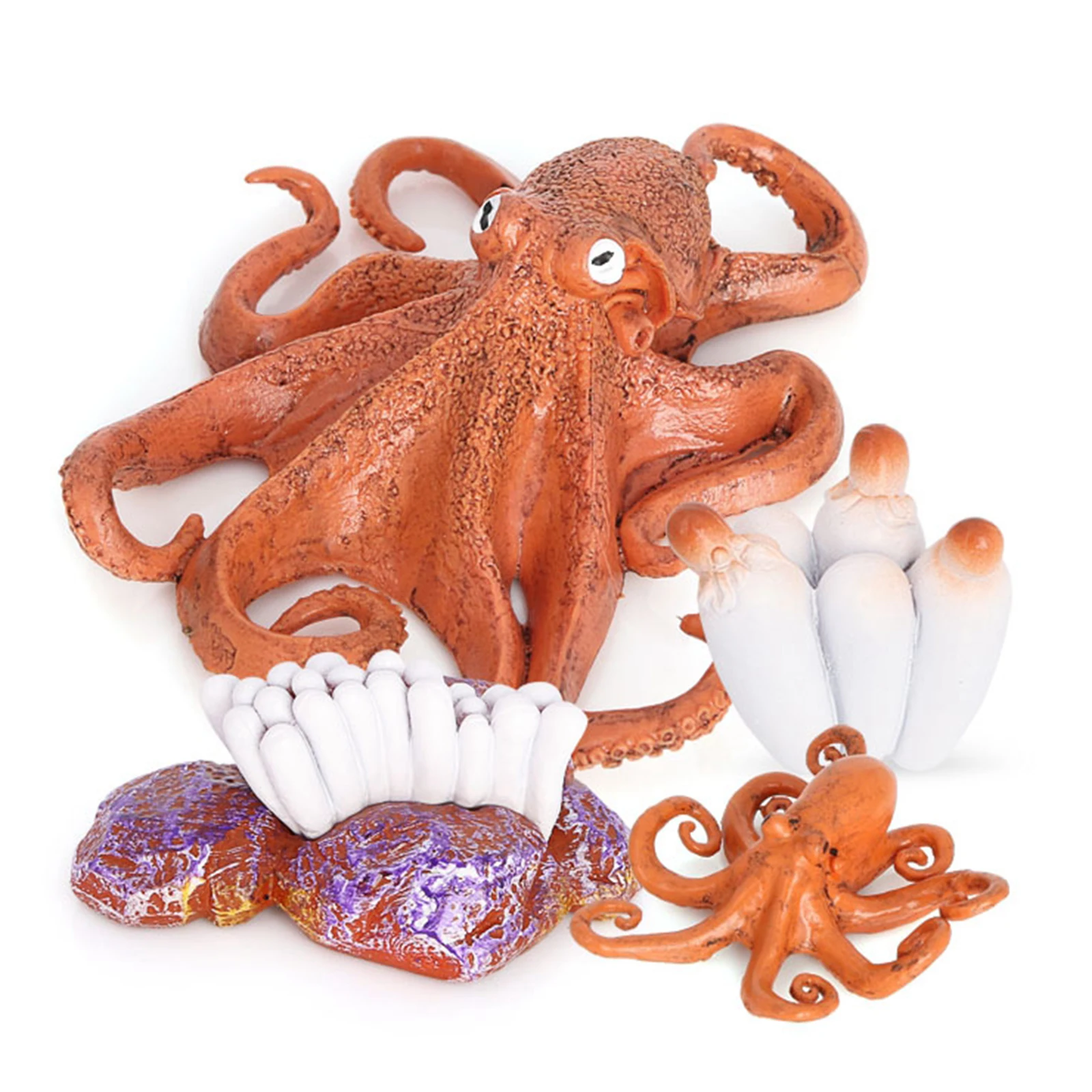 Realistic Life Cycle of a Octopus 4 Separate Pieces Growth Cycle Model Figurines Miniature Decor Collector Kids Educational Toys