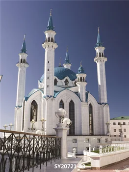 

Vinyl Custom Photography Backdrops Prop Castle Theme Photography Background #6004