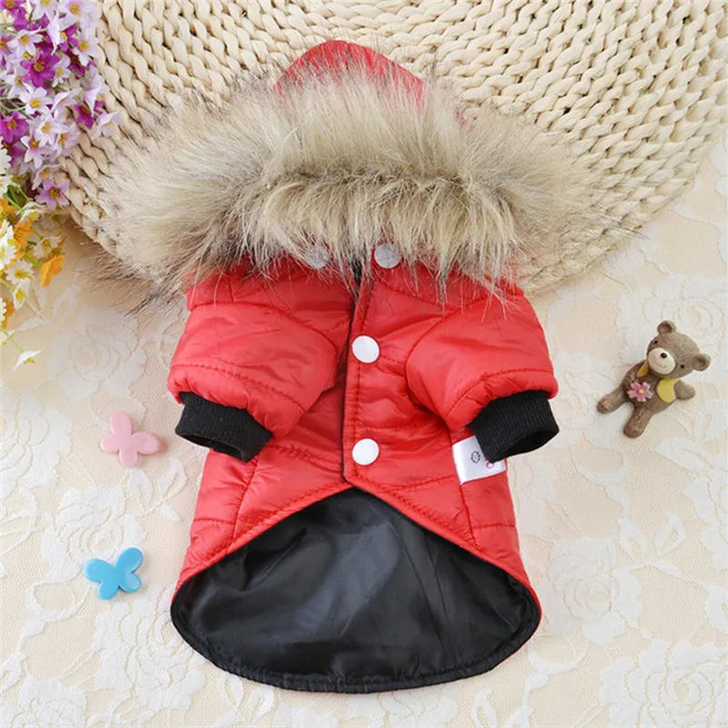 CGJ91031612RDM_0404058962788790713