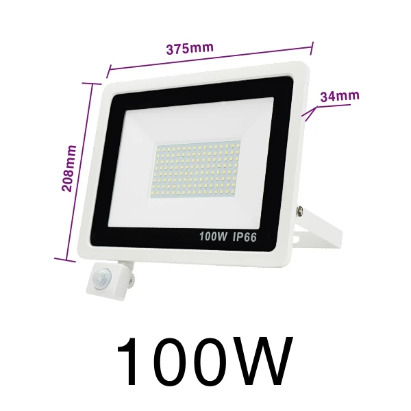 100W Cold White Светодиодный прожектор с датчиком движения PIR, 10 Вт, 20 Вт, 30 Вт, 50 Вт, 100 Вт, белый наружный прожектор, IP66, водонепроницаемый Светодиодный прожектор для ландшафтного освещения - Испускаемый цвет: 100W Cold White
