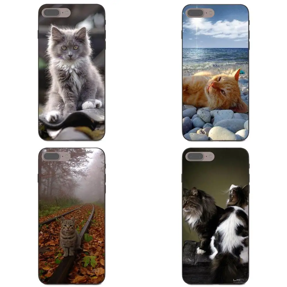 Чехол из ТПУ с котом чтобы быть котенком Me Right Meow Text Cat для Xiaomi Mi Mix Max Note 2 2S 3 5X 6 6X 8 9 SE