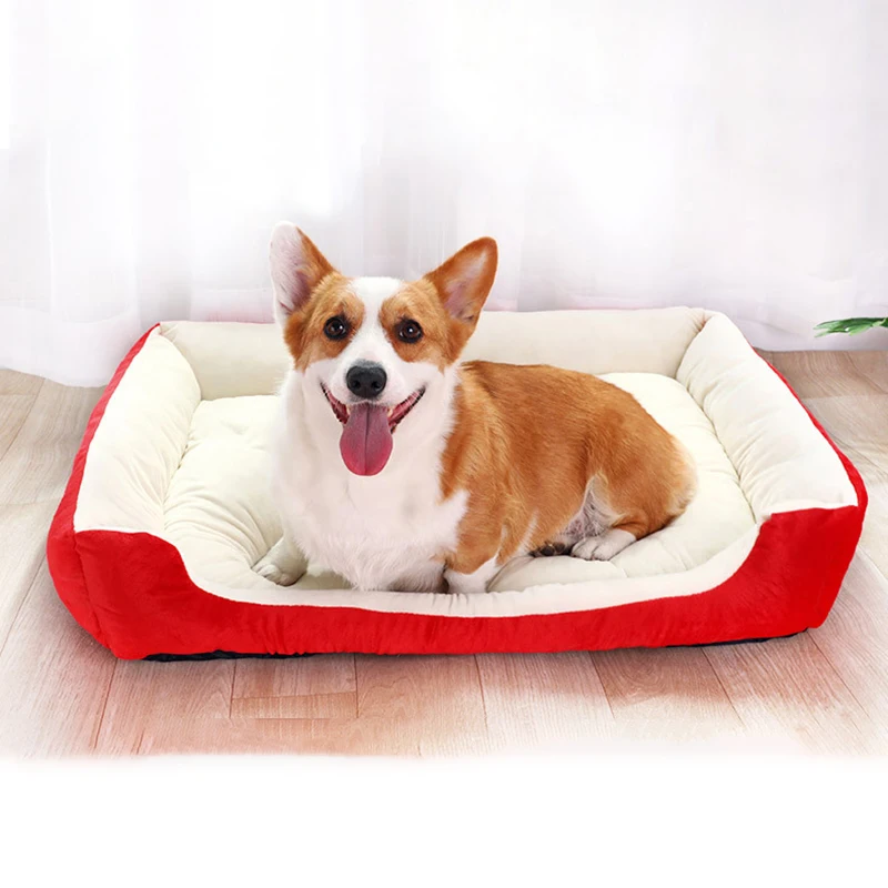 10326962694_1739912750