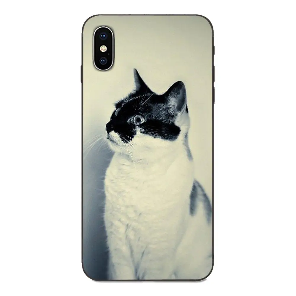 Животные кошки с очками для Galaxy C5 C7 J1 J2 J3 J330 J5 J6 J7 J730 M20 M30 Ace Core Max Мини плюс премьер