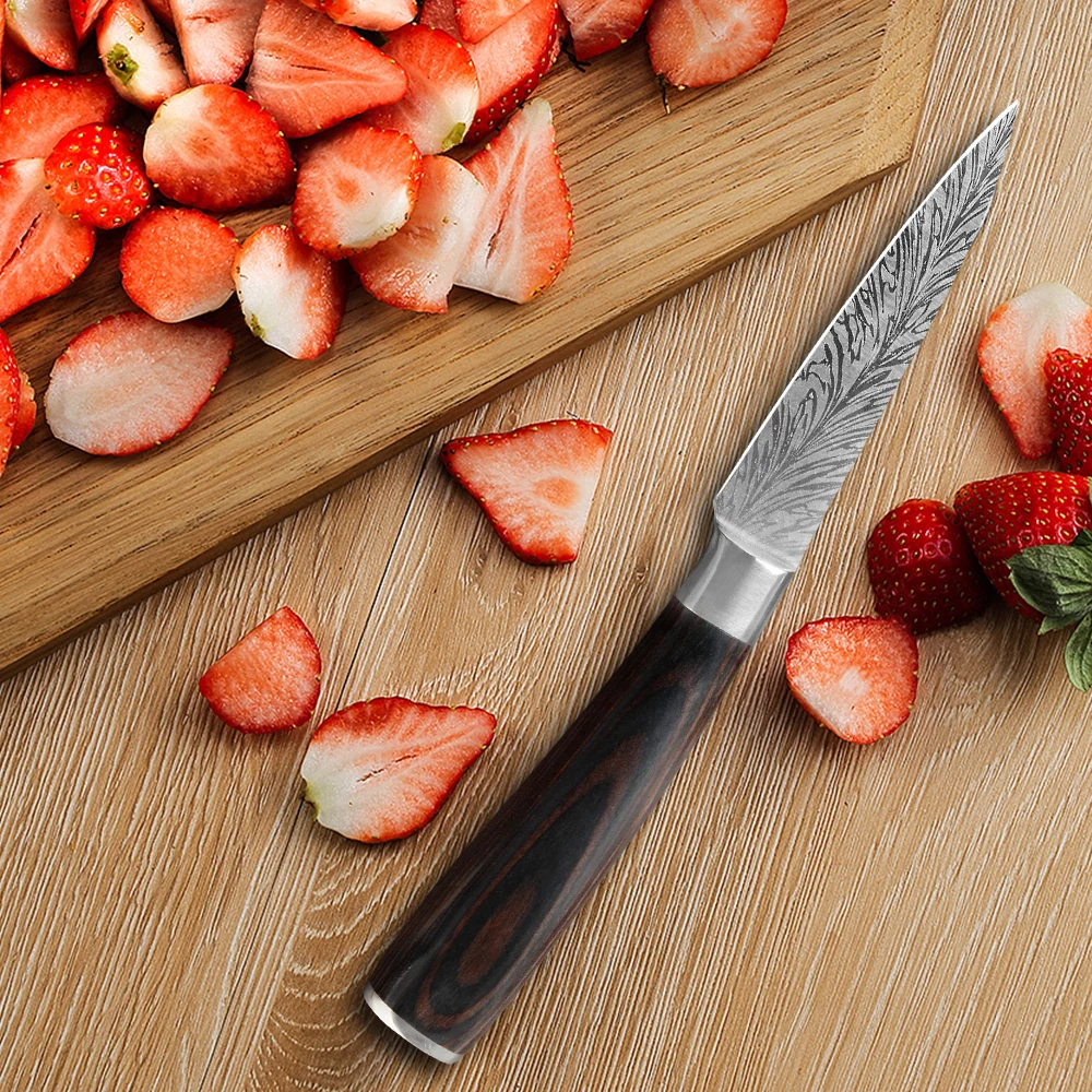 千羽纹情景图果皮