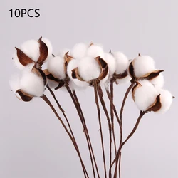 Naturally Simulations Cotton Flowers White Decorative Real Plant Branch Bouquet Home Flower For Living Room Decoration