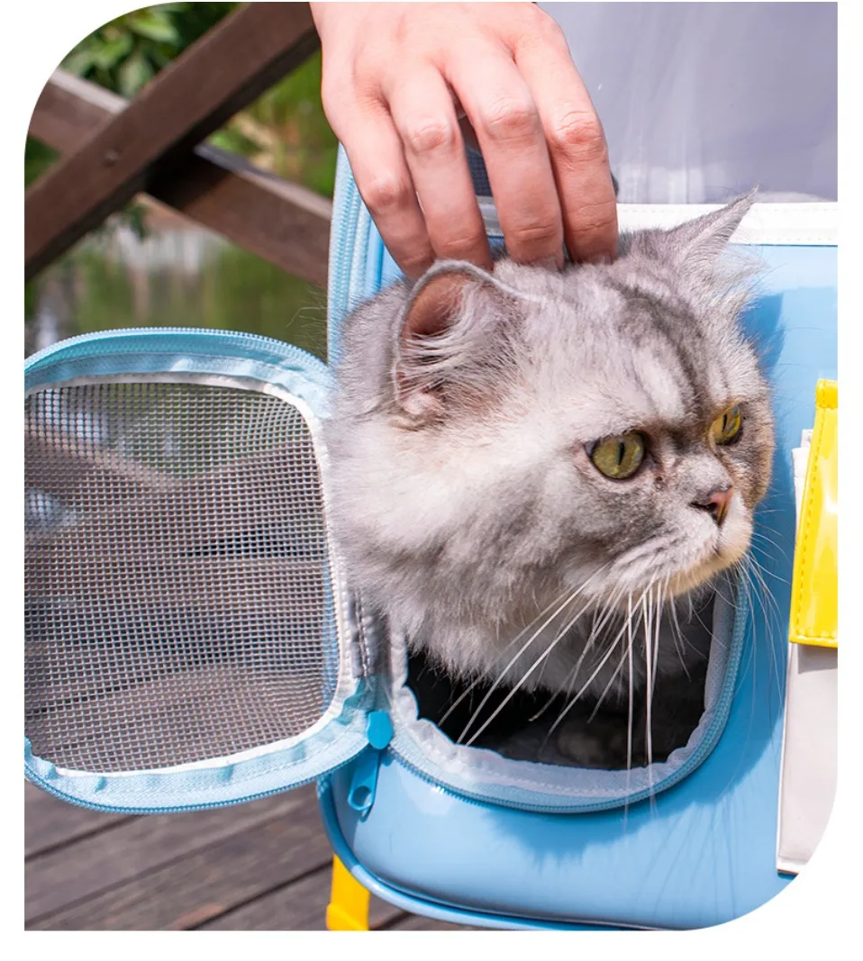 Title 20, Pet Cat Carrier Backpack Transparent Travel Car...