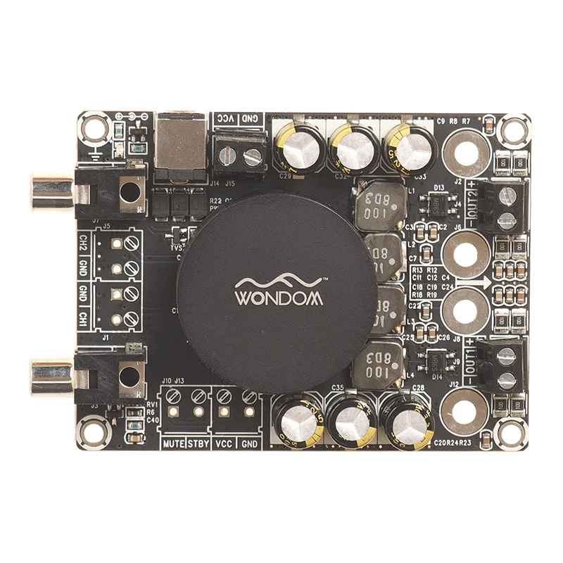 WONDOM 2x50W 4Ω 클래스 D 오디오 앰프 보드 스테레오 앰프 모듈-T..
