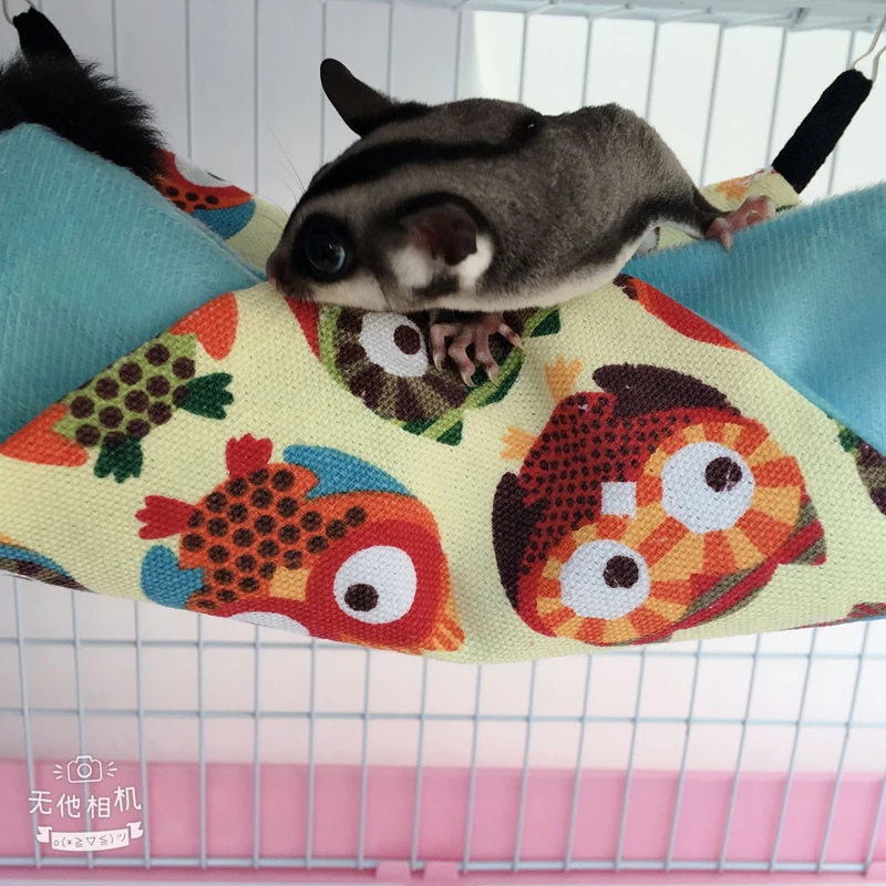 11354428660_578043734