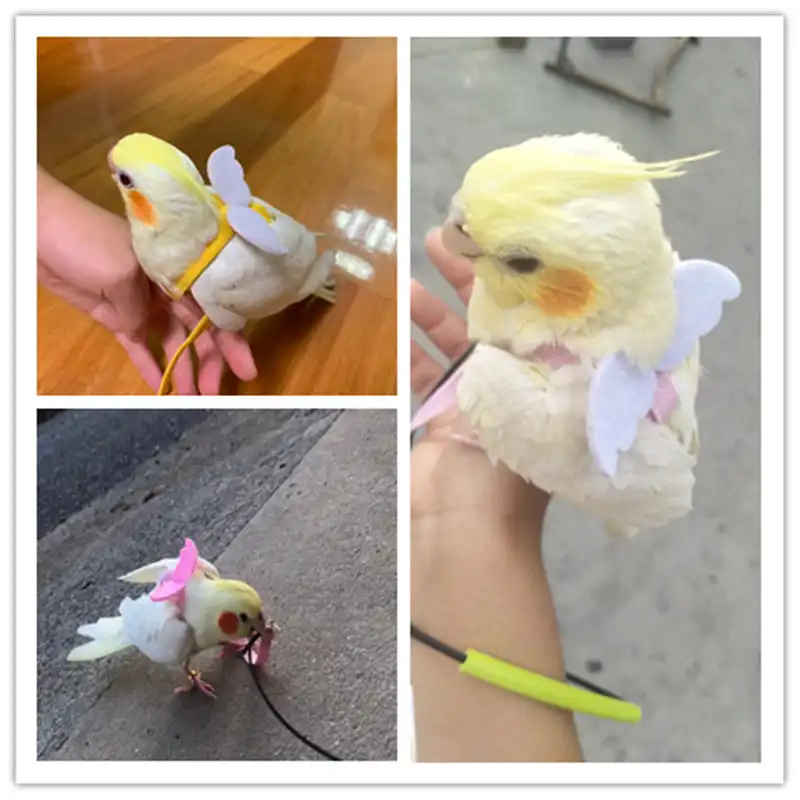 手作りオウムフライングための翼でリーシュペット鳥ロープハーネスオウムオカ太陽インコ僧侶インコオウムフライングスーツ Bird Training Aliexpress