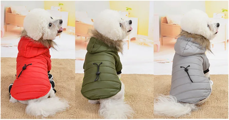 12147231768_1368698927