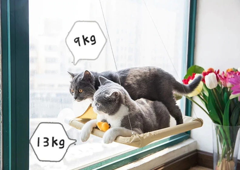 sunny-seat-window-mounted-cat-bed-bed-pixie-cheetah-13_1024x1024@2x.webp