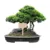 T-Type Bamboo Plant Labels Eco-Friendly Wooden Plant Sign Tools Potted Tags Markers Flowers For Seed Garden Herbs Wholesale