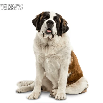 

Volkrays Funny Car Stickers Saint Bernard Dog Stickers Waterproof Sunscreen Decals Decoration Accessories PVC,14cm*12cm