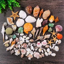 500 г смешанные 15 видов природные ракушки океанический пляж Раковина Танк украшения для домашнего праздника Свадебный декор пляж тема вечерние Морская раковина