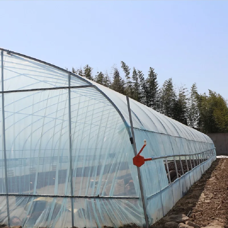 Serving Agriculture Singlespan Greenhouses