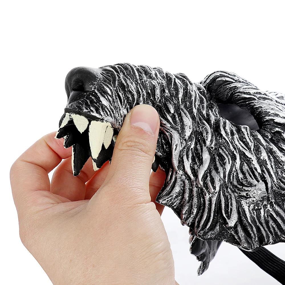 HN16012 (10)