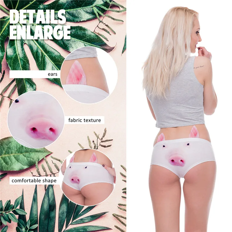 41070 pig (00)