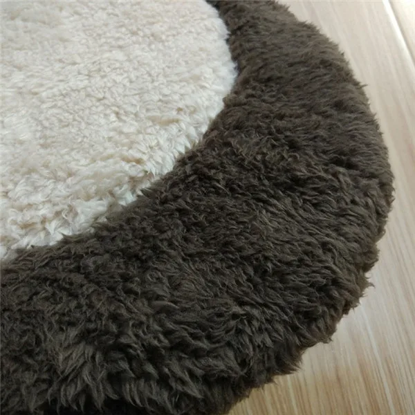 ZA04 (2)
