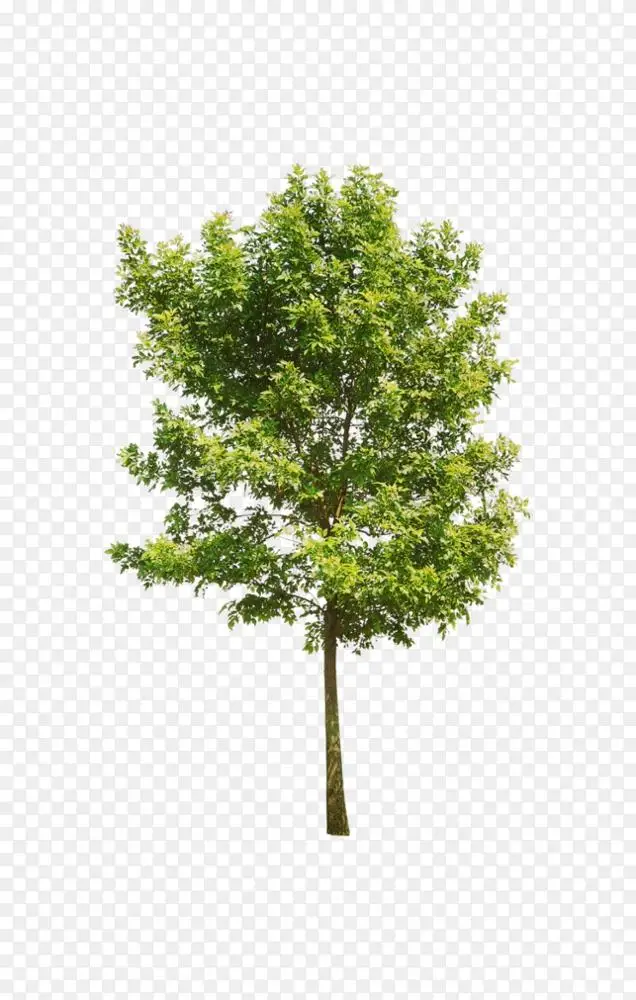 建筑 绿树png图片素材免费下载 图片编号 Png素材网