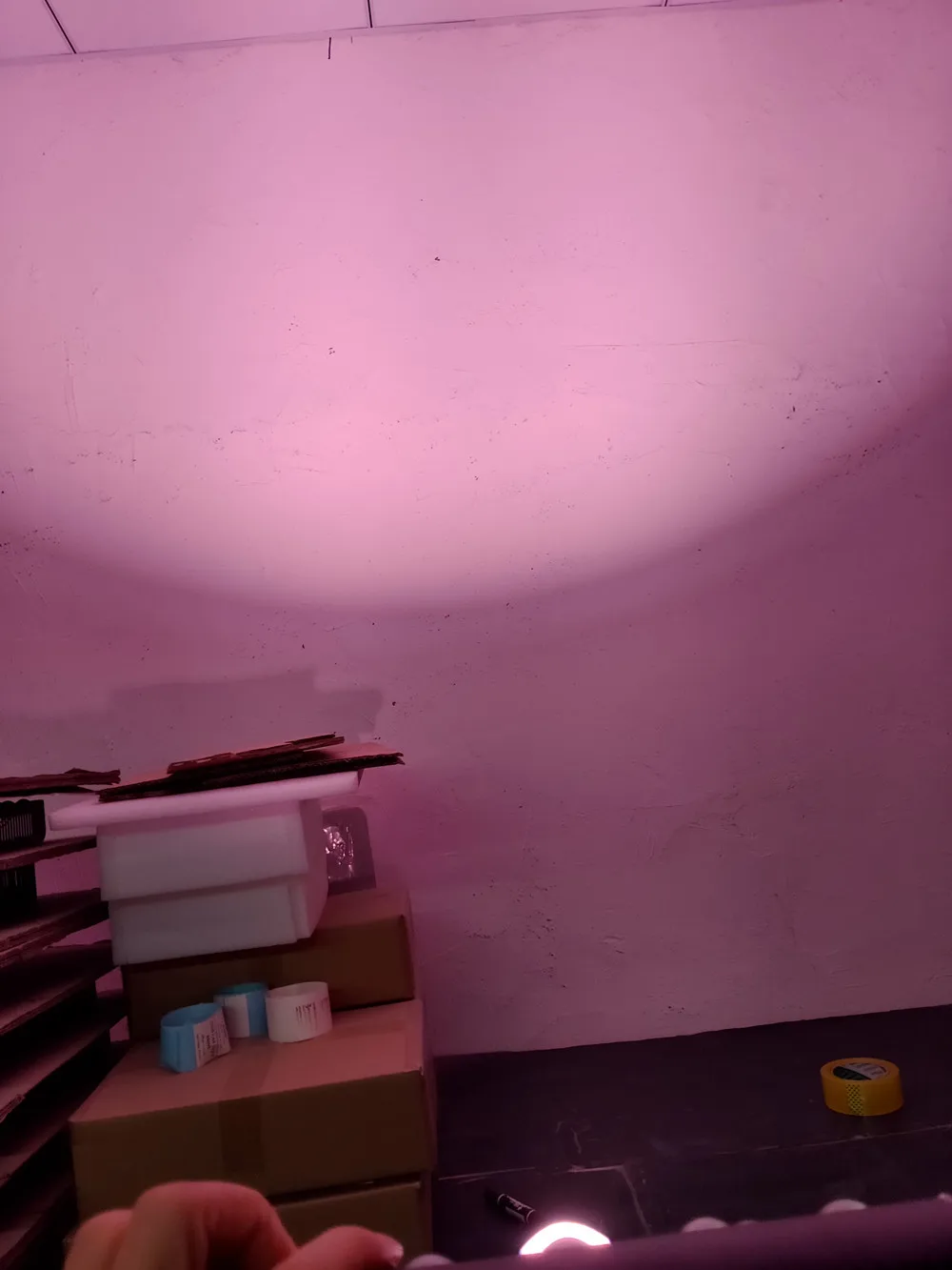 img_20191130_164556_副本