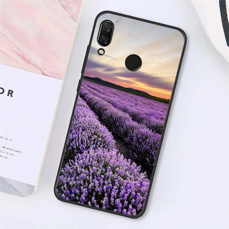 Simple lavender Purple flowers   