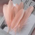 Champagne 50pcs