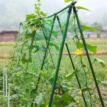 

Garden Green Nylon Trellis Netting Support Climbing Bean Plant Nets Grow Fen CeIdeal Vining Vegetables/Fruits/Flowers Hot Sale