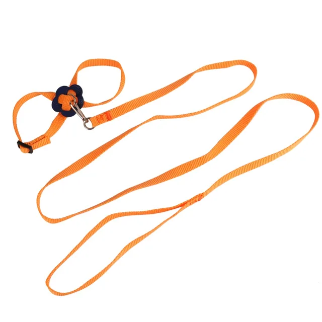 Pettorina In Pelle Per Tartarughe - Guinzaglio Comodo E Regolabile Per I Tuoi Animali Esotici - Foto 13