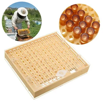 

1 Set Beekeeper Complete Cell Cup Kit Cultivating Box Catcher Cage System Catcher Box Cell Nicot Cups Great Tool Complete Kit
