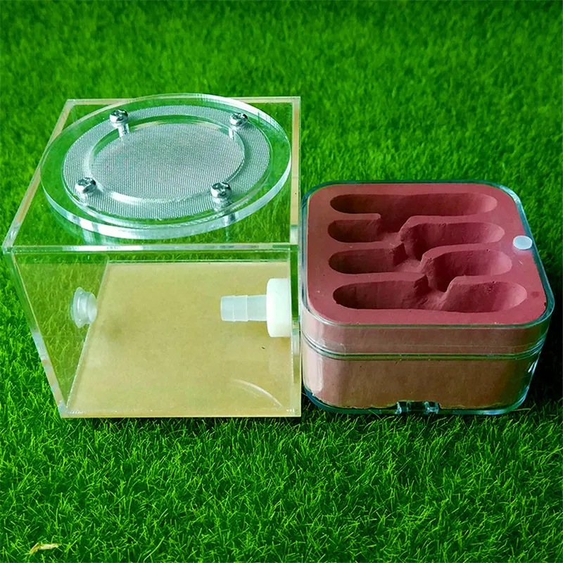 Plaster Ant Nest Acrylic Ant Farm Ants Queen House Insect Cage Anthills Pet Ant House Granja De Hormigas Hormiguero (10)
