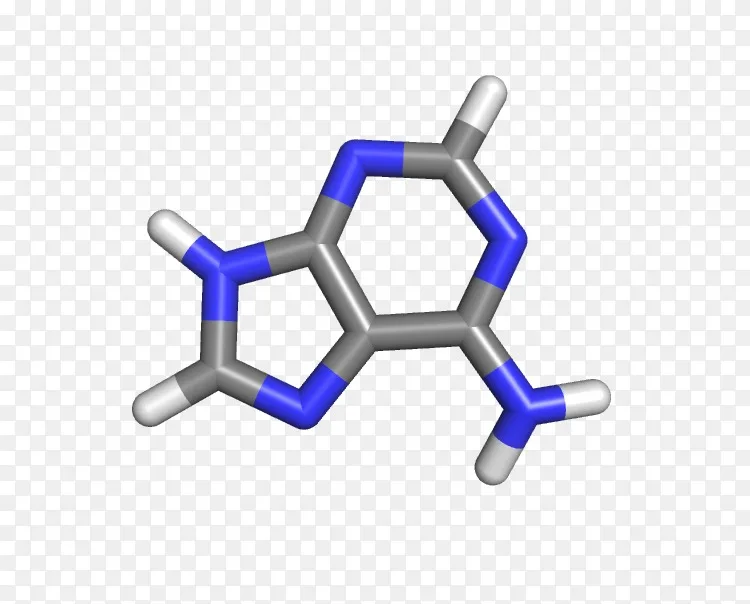 碱基对鸟嘌呤胞嘧啶gc含量化学试剂png图片素材免费下载 图片编号5738711 Png素材网