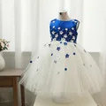 GSCH/Черные Платья с цветочным узором для девочек; платья для дня рождения с круглым вырезом и розой; вечерние платья-пачки для крестин; платье принцессы для девочек
