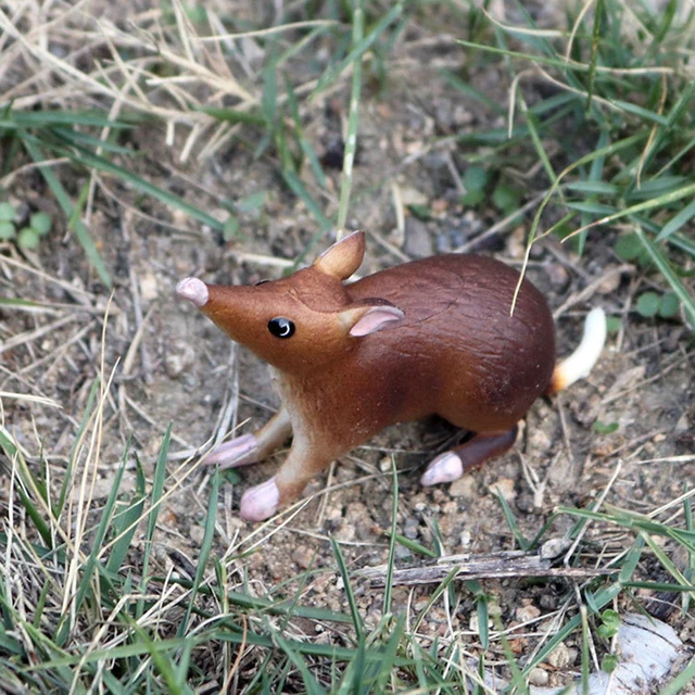 Realistic Mouse Rat Opossum Animal Model Figures Desk Decor Education Kids Toy 6